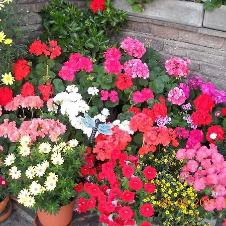 Gaestehaus Maria * Kartitsch