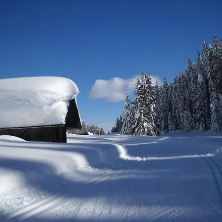 Gastehaus Maria Appartement *