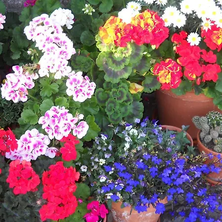 Apartmán Gaestehaus Maria Kartitsch